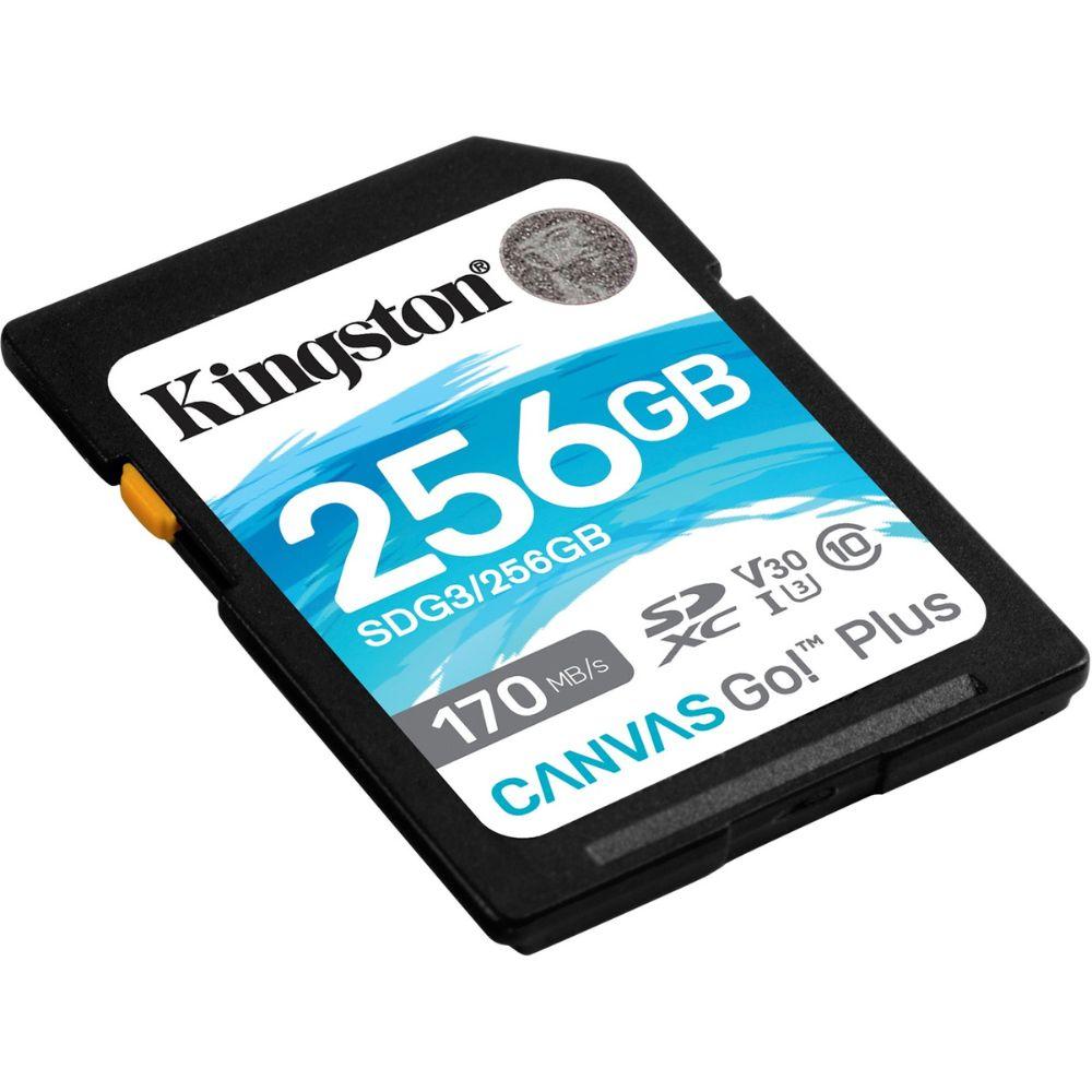 Kingston SD-SDXC-Karte Canvas Go! Plus Class 10 256GB