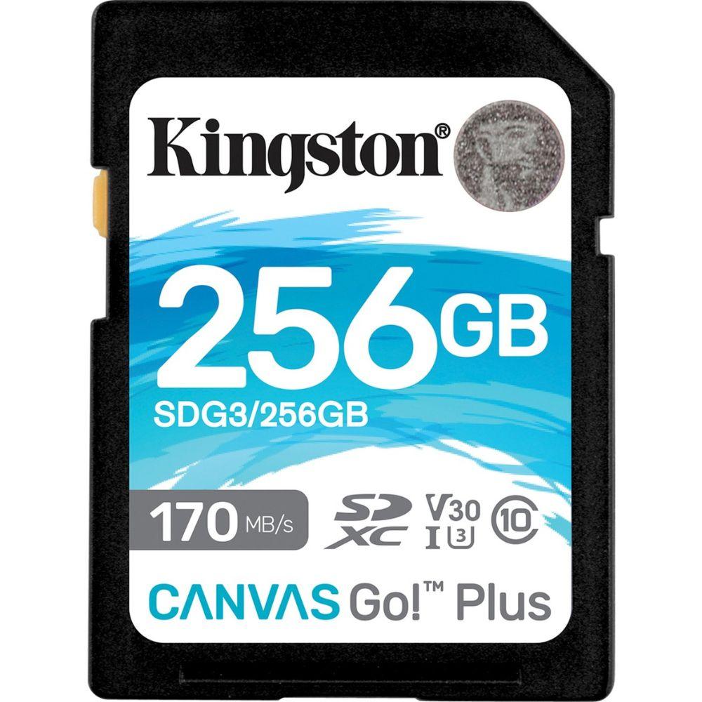 Kingston SD-SDXC-Karte Canvas Go! Plus Class 10 256GB